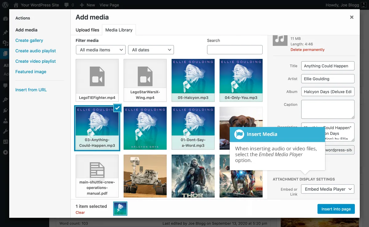 Inserting Video, Audio or Other File Type