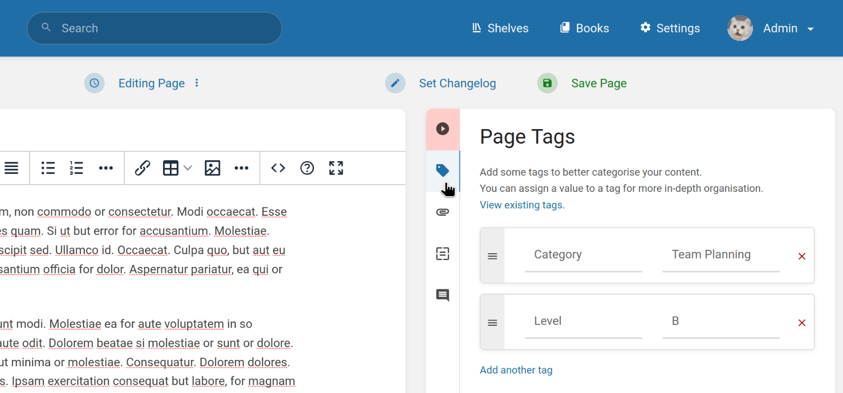 View of the page editor, with a "Page Tags" section open in the sidebar